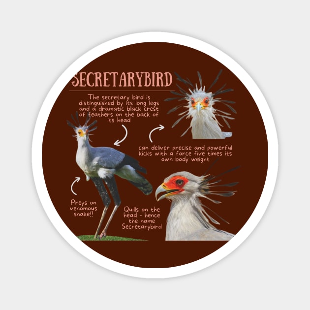 Animal Facts - Secretarybird Magnet by Animal Facts and Trivias